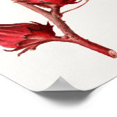 Poster Illustration botanique vintage (Coin)