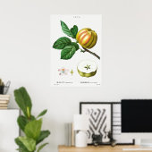 Poster Illustration botanique vintage (Bureau à domicile)