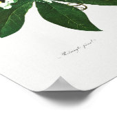 Poster Illustration botanique vintage (Coin)