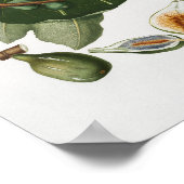 Poster Illustration botanique vintage (Coin)