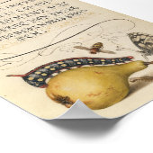 Poster Illustration botanique vintage (Coin)