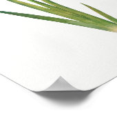 Poster Illustration botanique vintage (Coin)