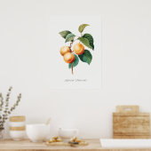 Poster Illustration botanique vintage (Cuisine)