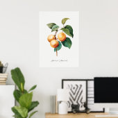 Poster Illustration botanique vintage (Bureau à domicile)