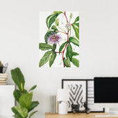 Poster Illustration botanique vintage (Bureau à domicile)