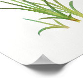 Poster Illustration botanique vintage (Coin)