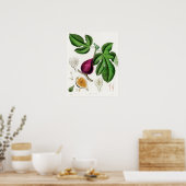 Poster Illustration botanique vintage (Cuisine)