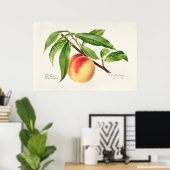 Poster Illustration botanique vintage (Bureau à domicile)