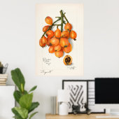 Poster Illustration botanique vintage (Bureau à domicile)