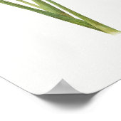 Poster Illustration botanique vintage (Coin)