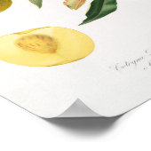 Poster Illustration botanique vintage (Coin)