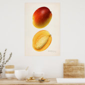 Poster Illustration botanique vintage (Cuisine)