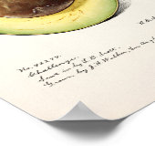 Poster Illustration botanique vintage (Coin)