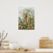 Poster Illustration botanique vintage (Cuisine)