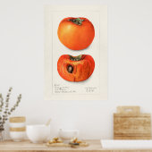 Poster Illustration botanique vintage (Cuisine)