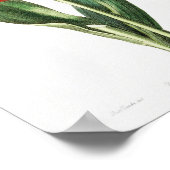 Poster Illustration botanique vintage (Coin)