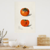 Poster Illustration botanique vintage (Cuisine)