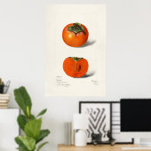 Poster Illustration botanique vintage (Bureau à domicile)