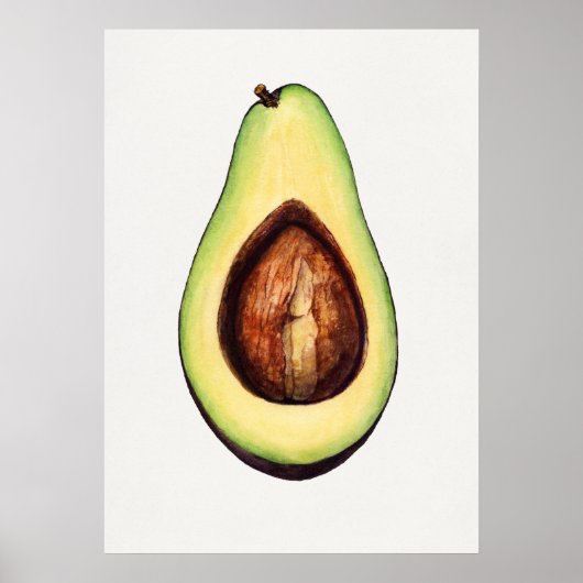 Poster Illustration botanique vintage (Devant)