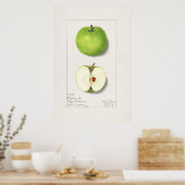 Poster Illustration botanique vintage (Cuisine)