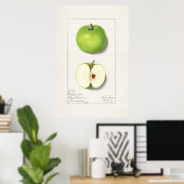 Poster Illustration botanique vintage (Bureau à domicile)