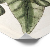 Poster Illustration botanique vintage (Coin)