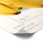 Poster Illustration botanique vintage (Coin)