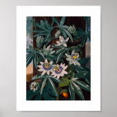 Poster Illustration botanique vintage (Devant)