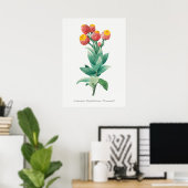 Poster Illustration botanique vintage (Bureau à domicile)