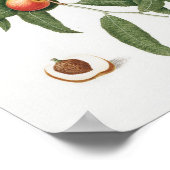 Poster Illustration botanique vintage (Coin)