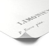 Poster Illustration botanique vintage (Coin)