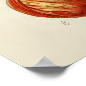 Poster Illustration botanique vintage (Coin)