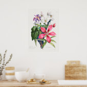 Poster Illustration botanique vintage (Cuisine)