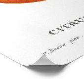 Poster Illustration botanique vintage (Coin)