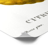 Poster Illustration botanique vintage (Coin)