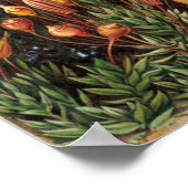 Poster Illustration botanique vintage (Coin)