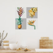 Poster Illustration botanique vintage (Cuisine)