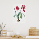 Poster Illustration botanique vintage (Cuisine)