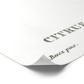 Poster Illustration botanique vintage (Coin)