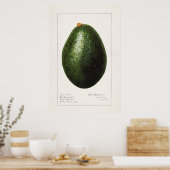 Poster Illustration botanique vintage (Cuisine)