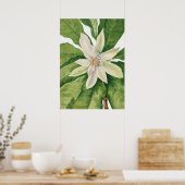 Poster Illustration botanique vintage (Cuisine)