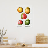 Poster Illustration botanique vintage (Cuisine)