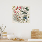 Poster Illustration botanique vintage (Cuisine)