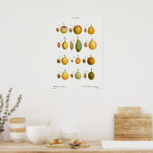 Poster Illustration botanique vintage (Cuisine)