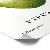 Poster Illustration botanique vintage (Coin)