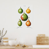 Poster Illustration botanique vintage (Cuisine)