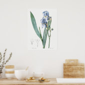 Poster Illustration botanique vintage (Cuisine)