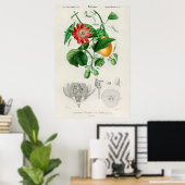 Poster Illustration botanique vintage (Bureau à domicile)