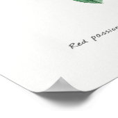 Poster Illustration botanique vintage (Coin)