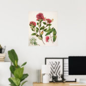 Poster Illustration botanique vintage (Bureau à domicile)